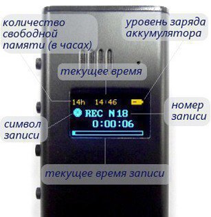 OLED-дисплей диктофона с отображаемой на нем информацией